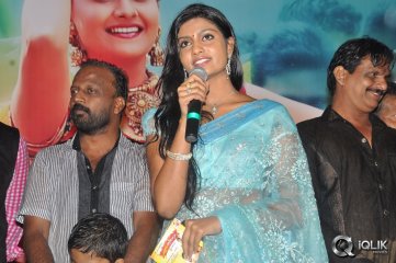 Malligadu Marriage Bureau Audio Release